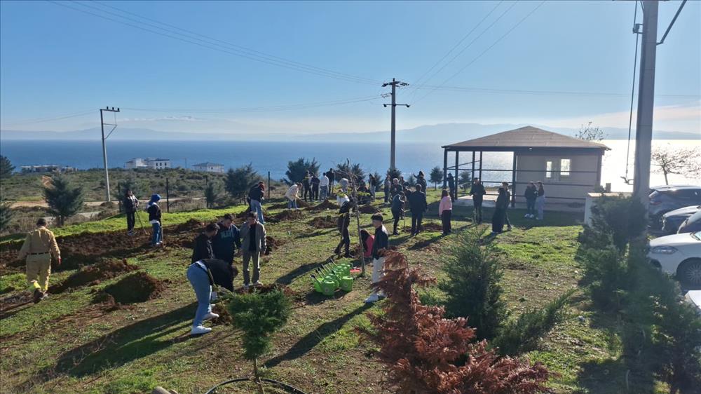Armutlu Orman İşletme Şefliği Ortaklığında Meslek Yüksekokulumuzda Ağaç Dikim Etkinliği Gerçekleştirildi